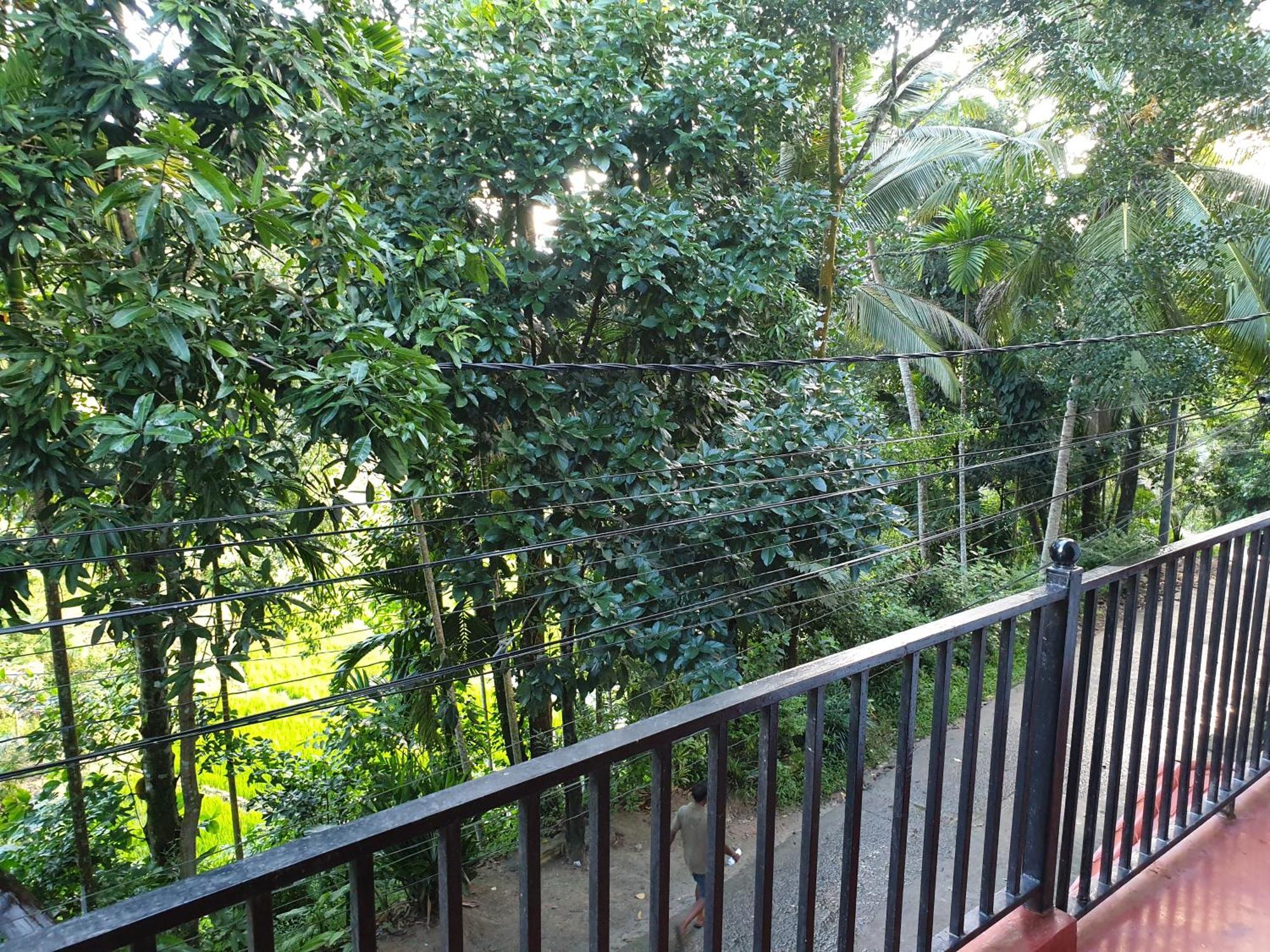 Enara Luxury Apartment *